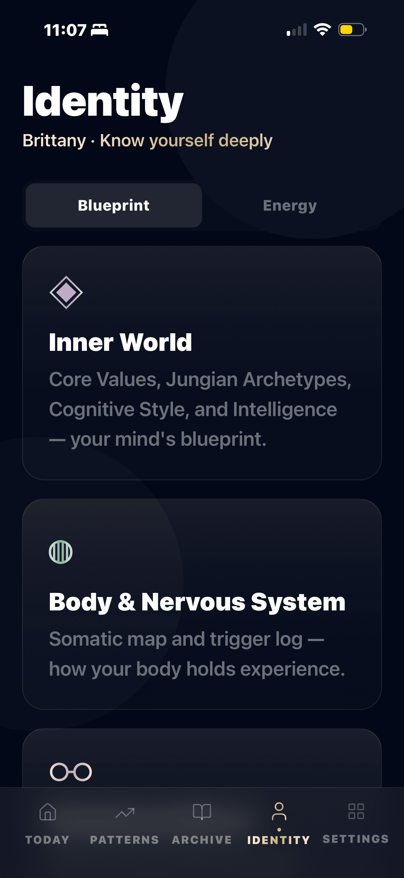 MySky identity screen showing blueprint categories and self-knowledge sections.